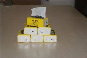 Tissu facial personnalisé avec le paquet en plastique de sac